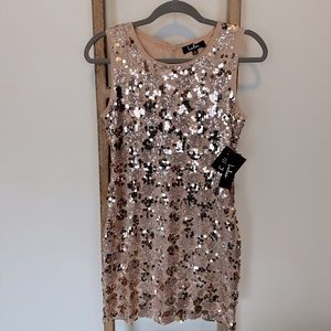 Rose gold / champagne NWT sequin mini dress. Never worn, perfect condition.